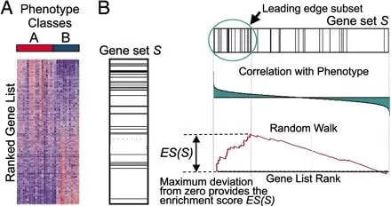 figure 1 The Principle of GSEA Enrichment Calculation